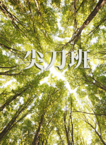 向日葵在绽放的夜晚